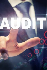 audyt it